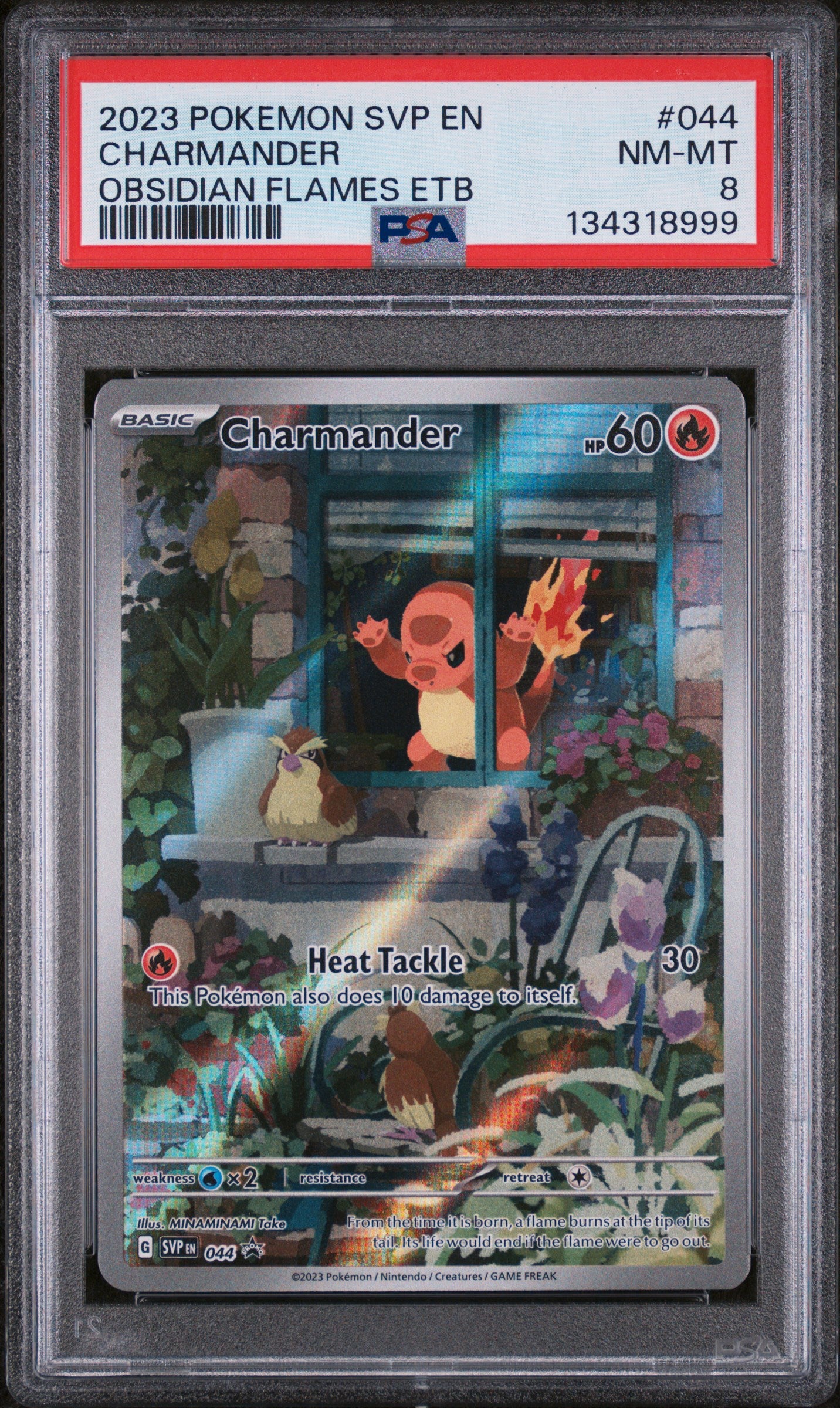 SV Scarlet & Violet Promo Cards  044 PSA8 #134318999 Charmander  - Holofoil - Promo