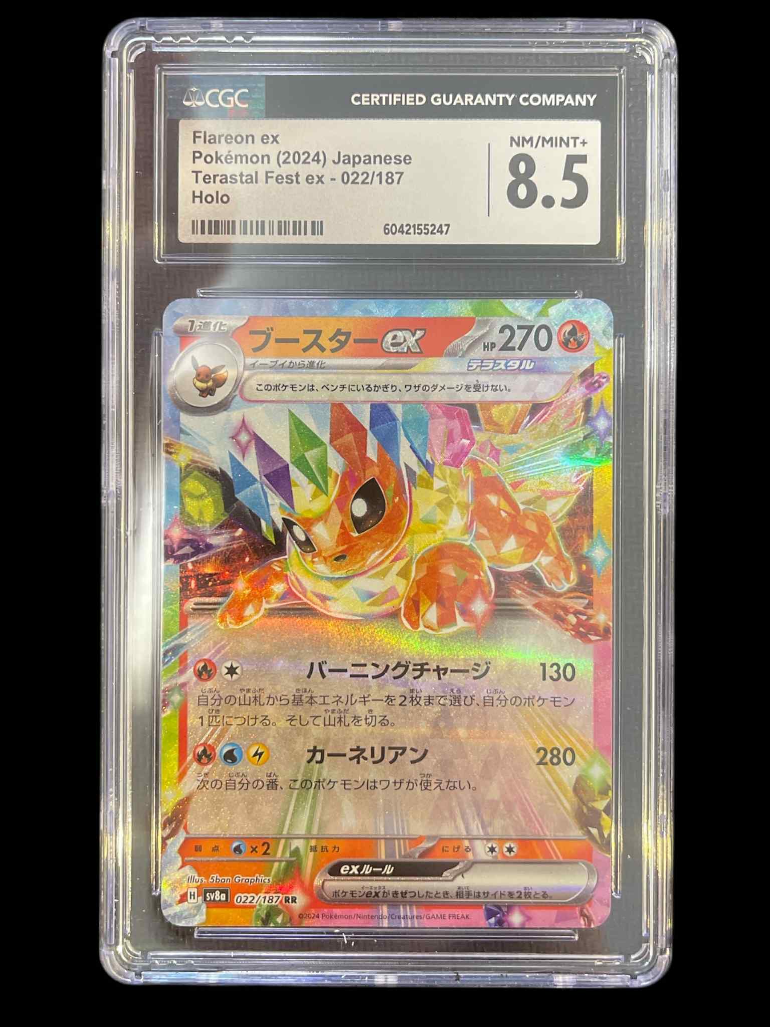 SV8a Terastal Fest ex  022/187 CGC8.5 #6042155247 Flareon ex  - Holofoil - Double Rare