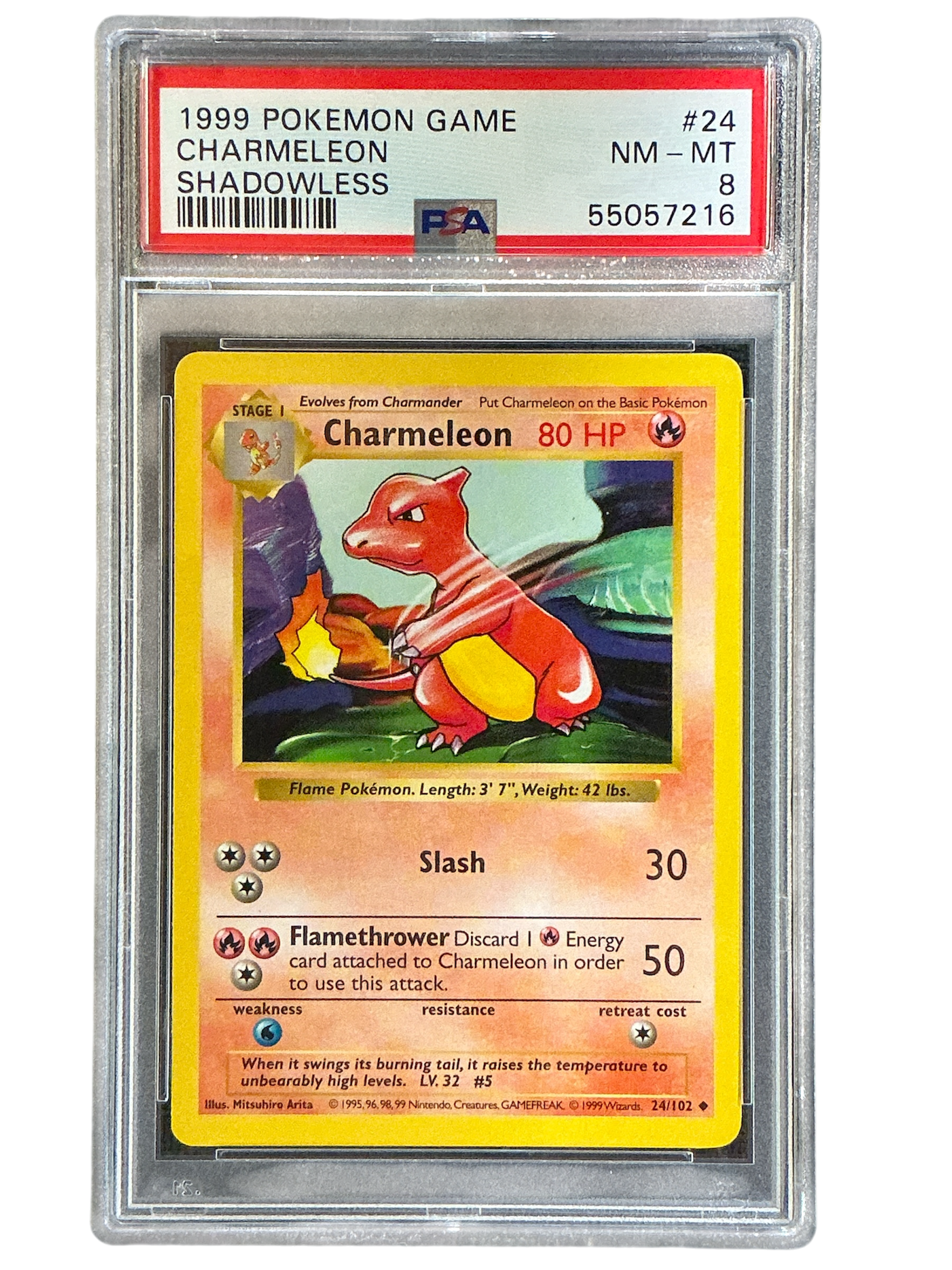 Base Set Shadowless  024/102 PSA8 #55057216 Charmeleon  - Unlimited - Uncommon