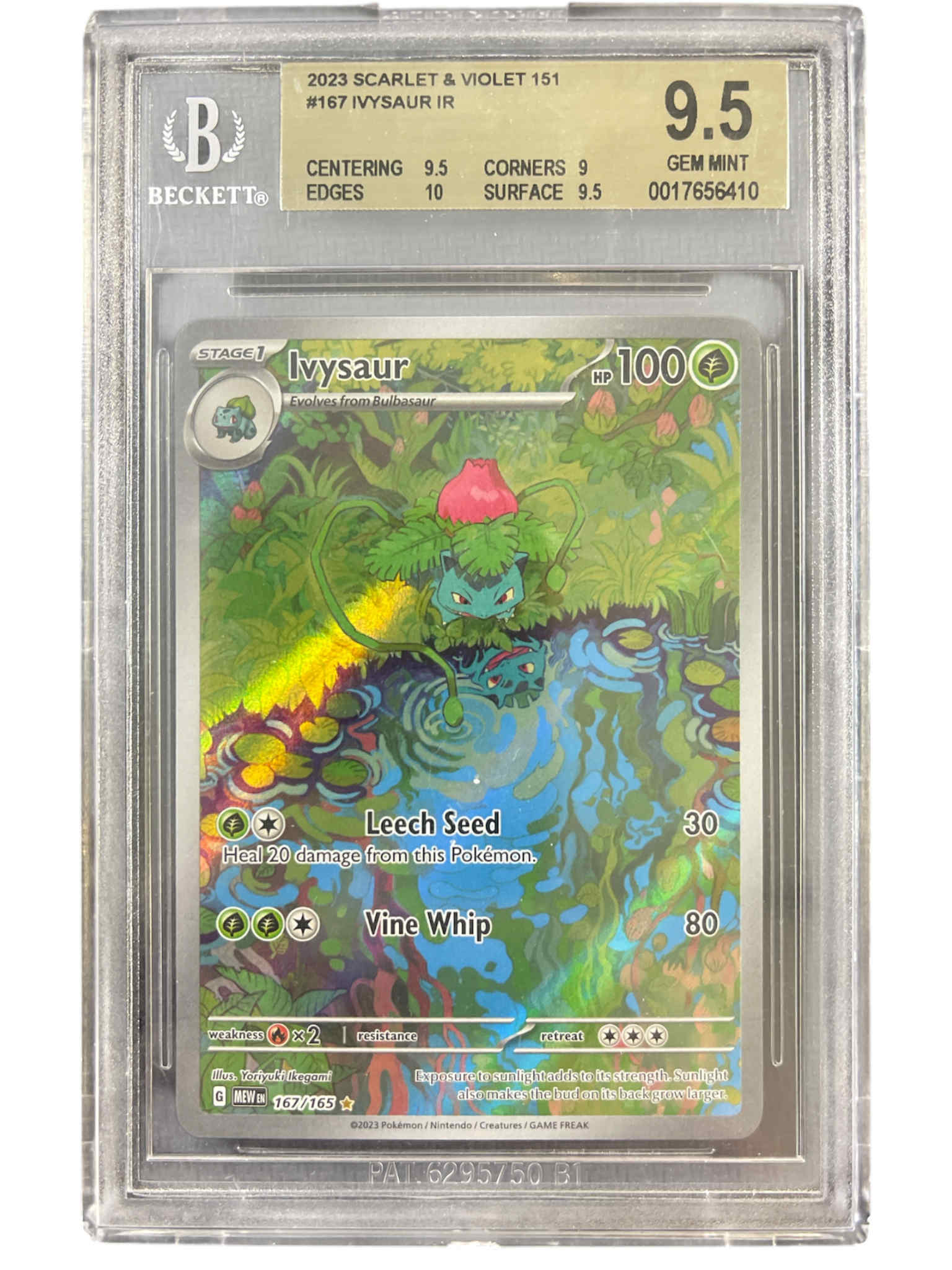 SV Scarlet & Violet 151  167/165 Beckett 9.5 #0017656410 Ivysaur  - Holofoil - Illustration Rare
