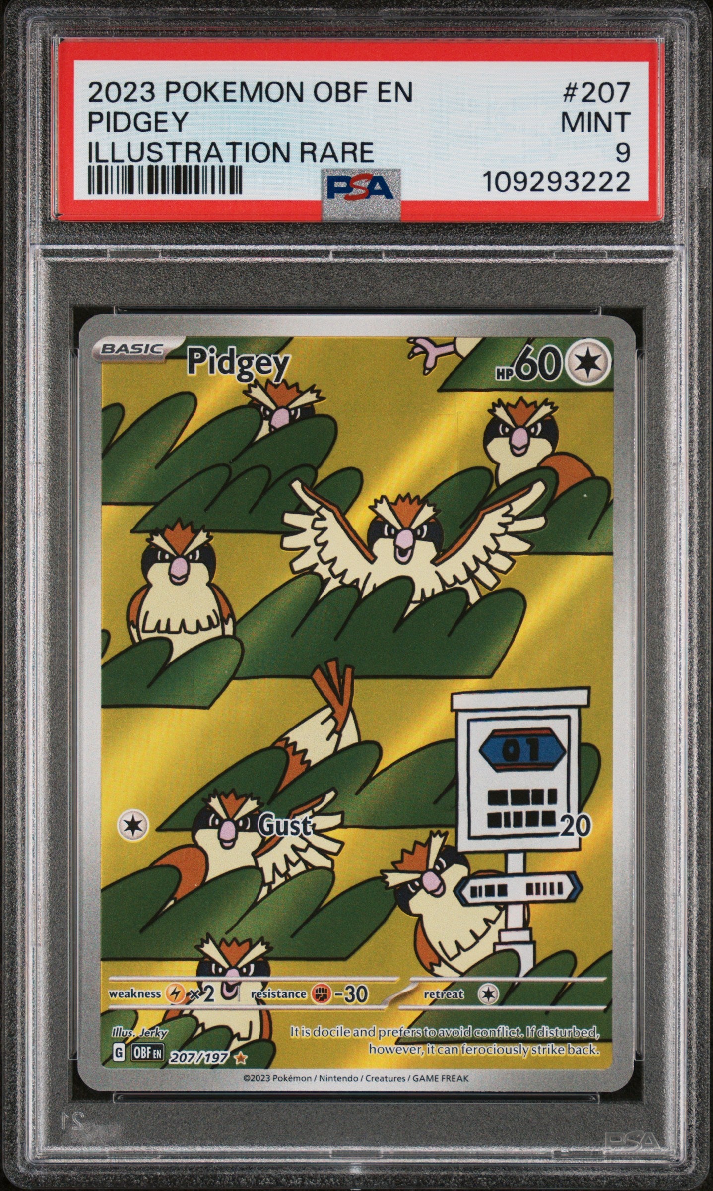 SV03 Obsidian Flames  207/197 PSA9 #109293222 Pidgey  - Holofoil - Illustration Rare