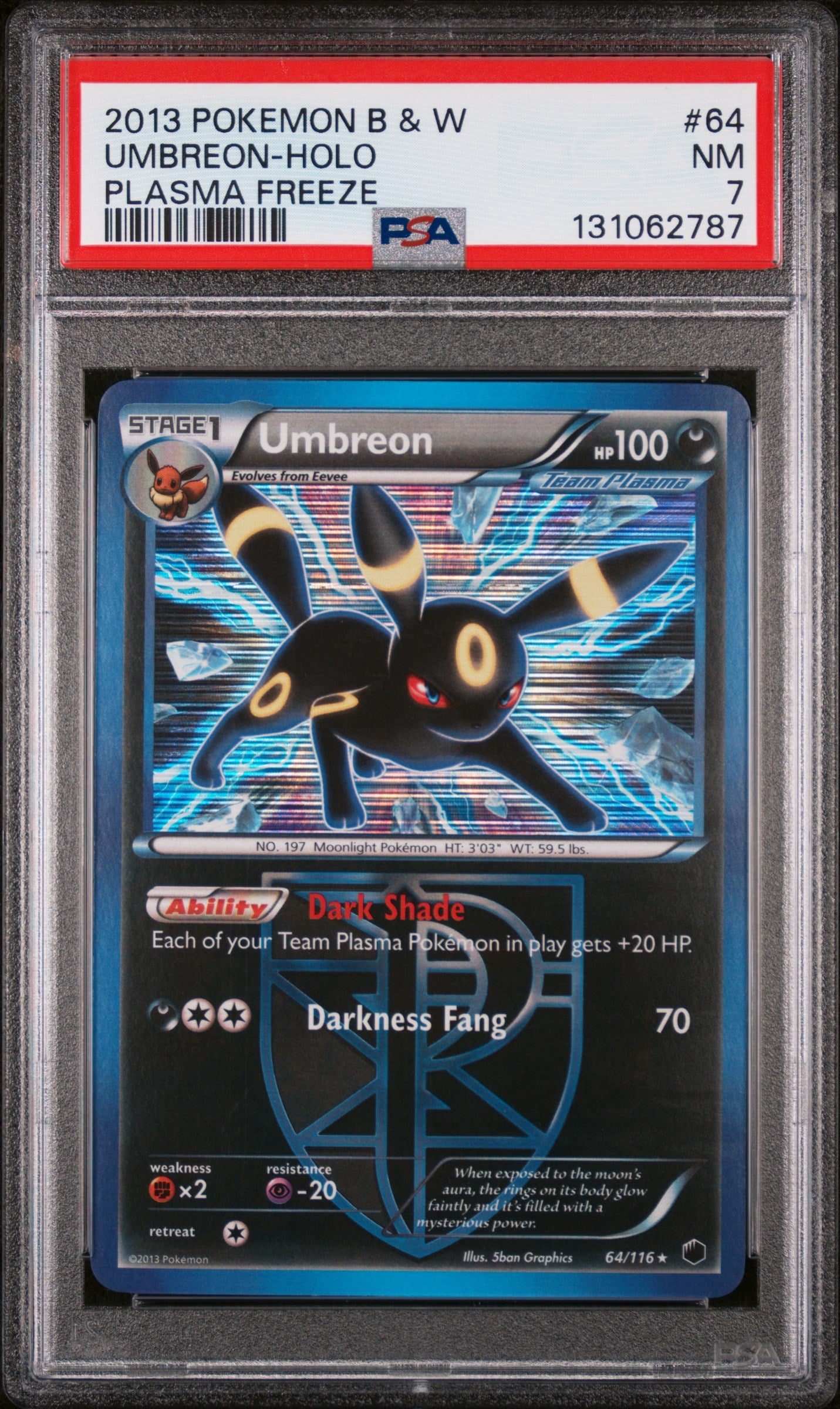 Plasma Freeze  064/116 PSA7 #131062787 Umbreon (Team Plasma)  - Holofoil - Holo Rare